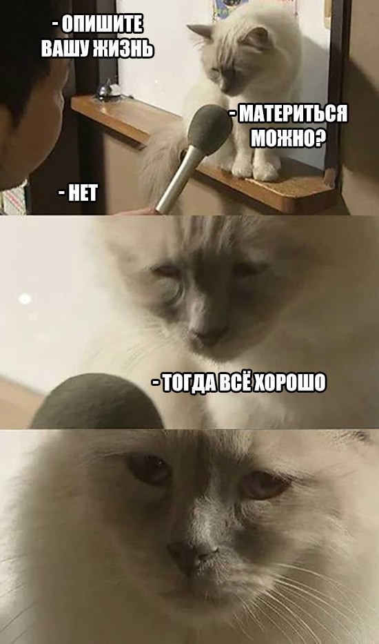 смешные картинки с надписями весело, прикол, юмор