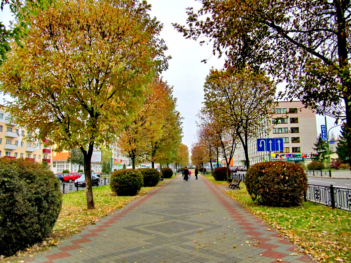 Парки бреста. Брест парк Бреста. Граевский парк Брест. Брест осень. Брест осенью.