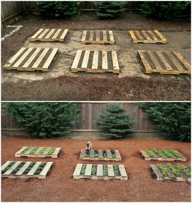 17 полезностей для дачников, которые нужно опробовать на своем участке уже сейчас 17 полезностей для дачников, которые нужно опробовать на своем участке уже сейчас домашний очаг,идеи для дачи,мастерство,полезные советы,своими руками,умелые руки