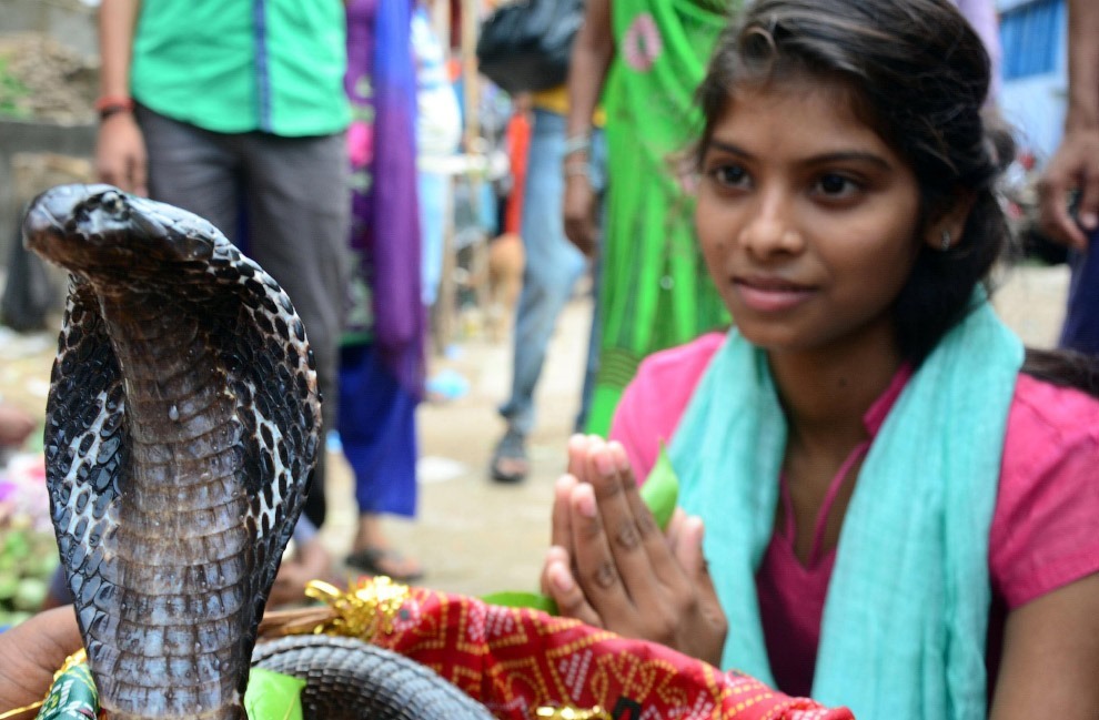День поклонения змеям Nag Panchami 2017