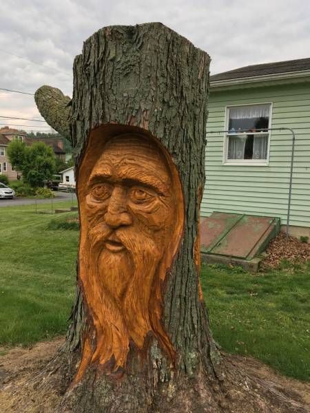 Прикольные картинки дня (50 шт)