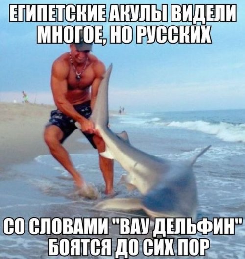 Прикольные картинки дня (55 шт)