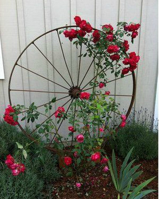 17 полезностей для дачников, которые нужно опробовать на своем участке уже сейчас 17 полезностей для дачников, которые нужно опробовать на своем участке уже сейчас домашний очаг,идеи для дачи,мастерство,полезные советы,своими руками,умелые руки