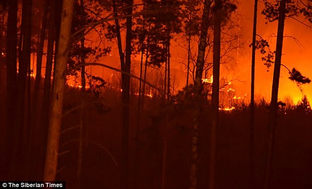 Пожарным бригадам города за выходные удалось устранить возгорание травы на площади 400 га, совершив более 30 выездов Железногорск, лес, пожар