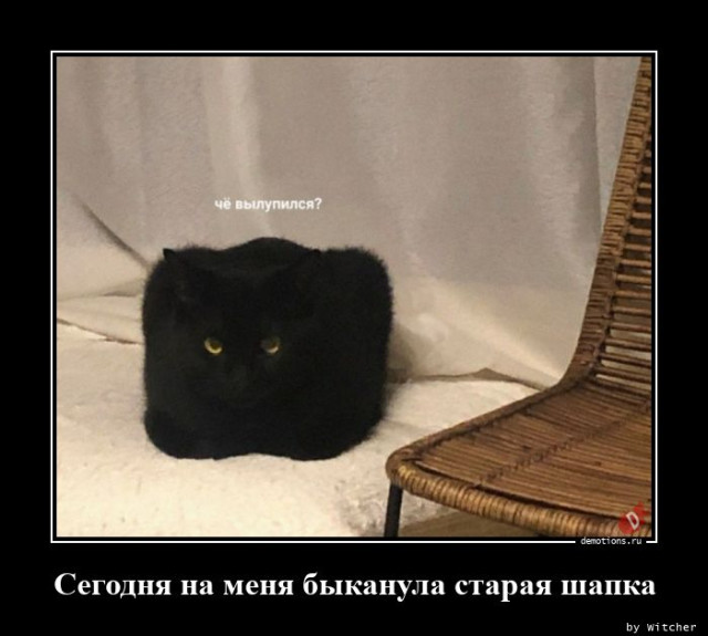 Демотиваторы для всех: «Чё вылупился?» 