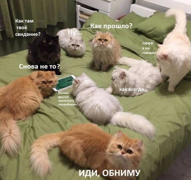 Приколы, которые поймут лишь люди, не состоящие в отношениях Приколы, которые поймут лишь люди, не состоящие в отношениях позитив,смешные картинки,юмор