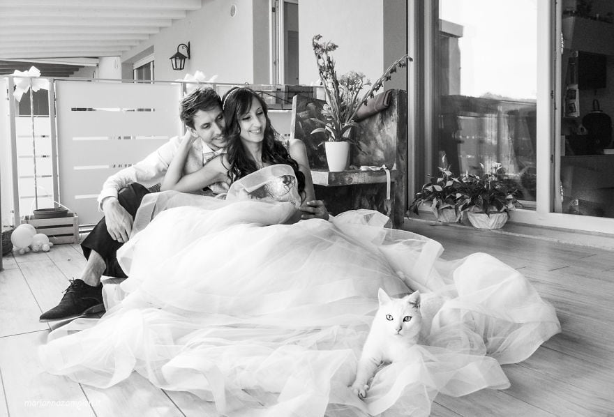 I Do Post-Marriage Private Shooting With Cats