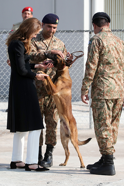 Кейт Миддлтон и принц Уильям приняли участие в дрессировке собак в кинологическом центре в Исламабаде Кейт Миддлтон и принц Уильям приняли участие в дрессировке собак в кинологическом центре в Исламабаде Монархии