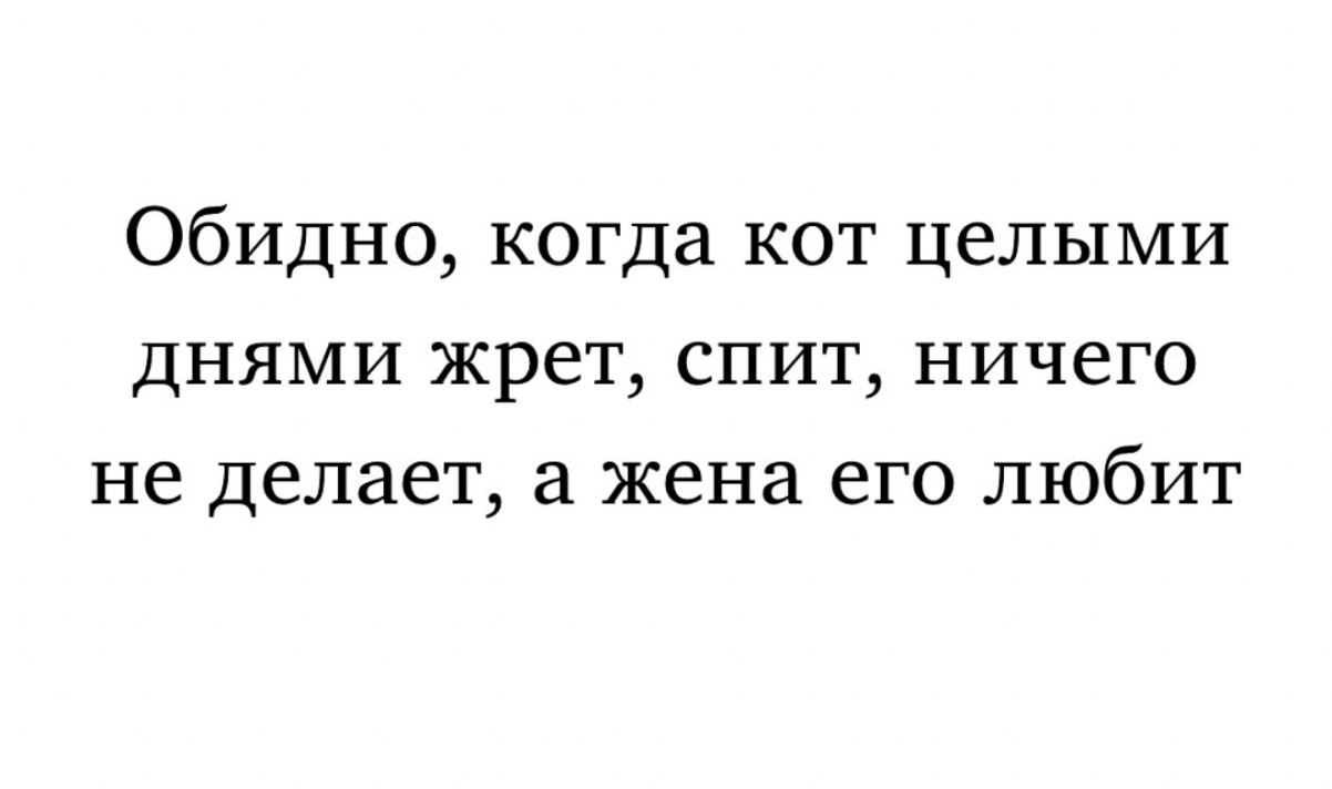 Юмор за день и корпоратив метеорологов Юмор за день и корпоратив метеорологов