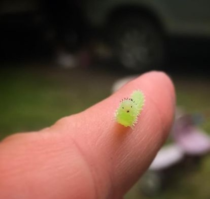 Лекарство от беспросветности Лекарство от беспросветности