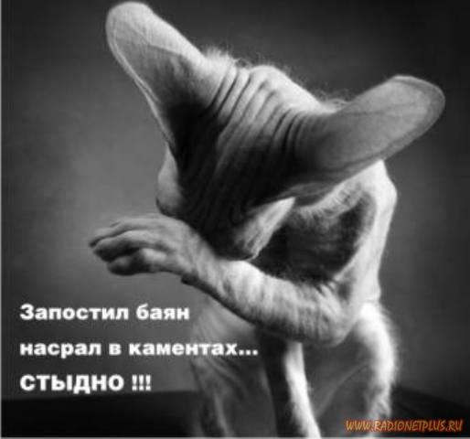 Мысли вслух :) (10фото)