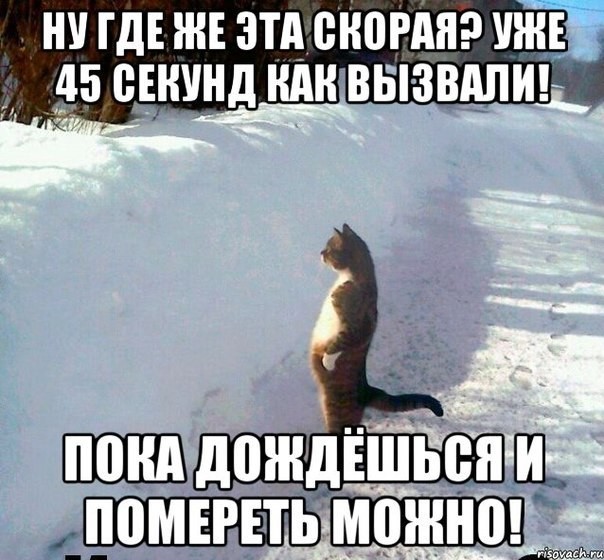 Злой медик история, прикол