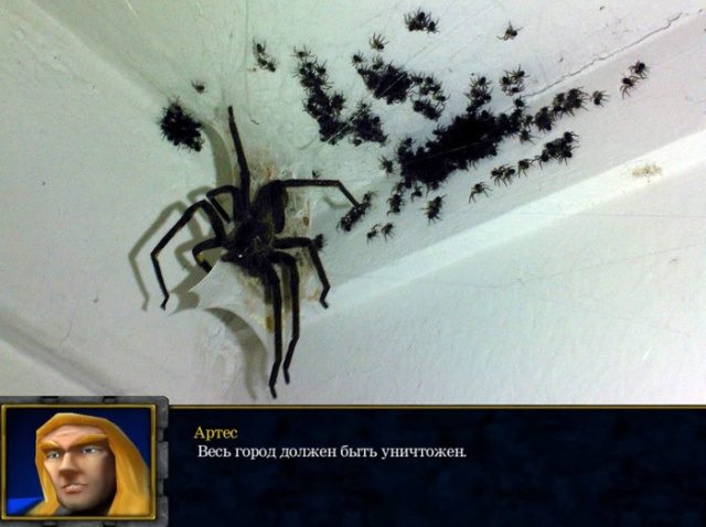 Немного прикольных картинок дня 