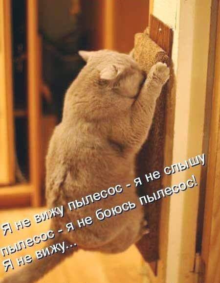 Немного шуток. Для поднятия настроения пост. Улыбнитесь… Немного шуток. Для поднятия настроения пост. Улыбнитесь…