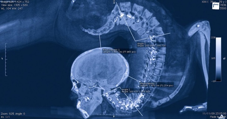 После просмотра этих фото хочется воскликнуть: «Природа, ты восхитительна!» После просмотра этих фото хочется воскликнуть: «Природа, ты восхитительна!» природа