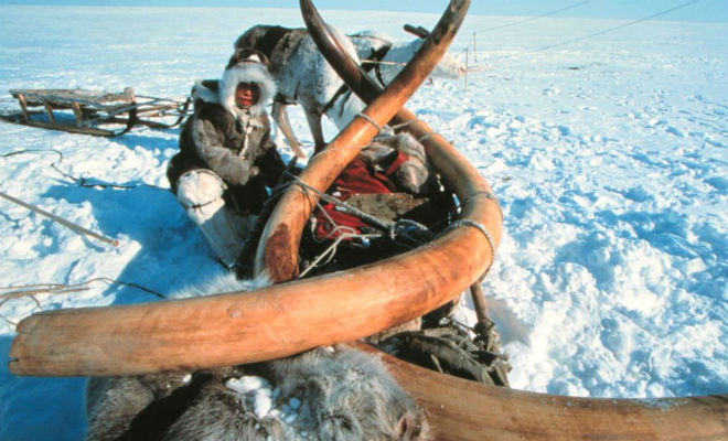 Феномен Сибири: исследование самой холодной точки планеты наука,полюс холода,Пространство,сибирь,Феномен Сибири