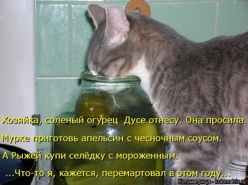 Лучшая котоматрица этой недели позитив