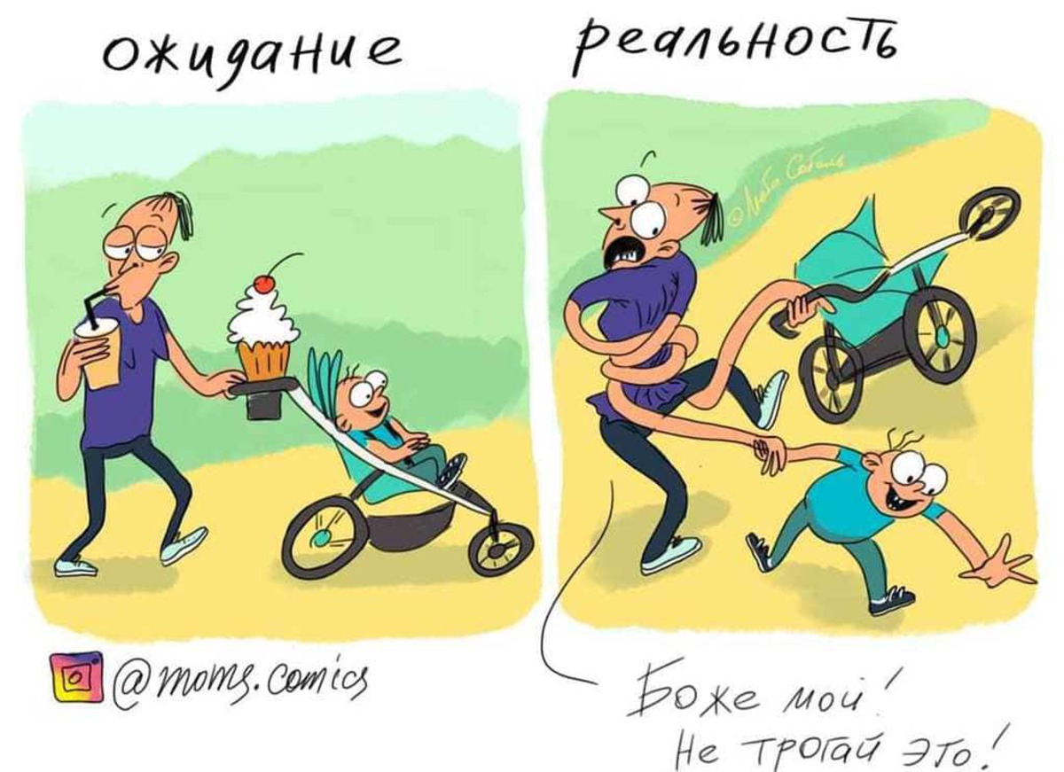 Маргариты, декрет картинки прикол
