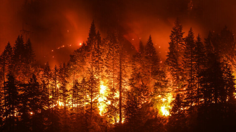 Из-за лесных пожаров эвакуировали жителей канадского Галифакса