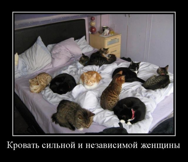 Лучшие демотиваторы!
