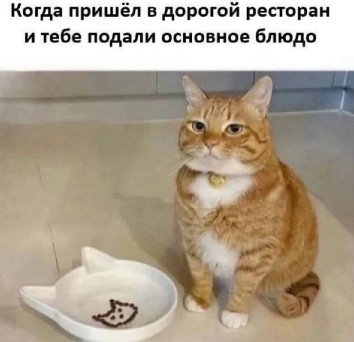 Третий лишний… когда второй контрольный 