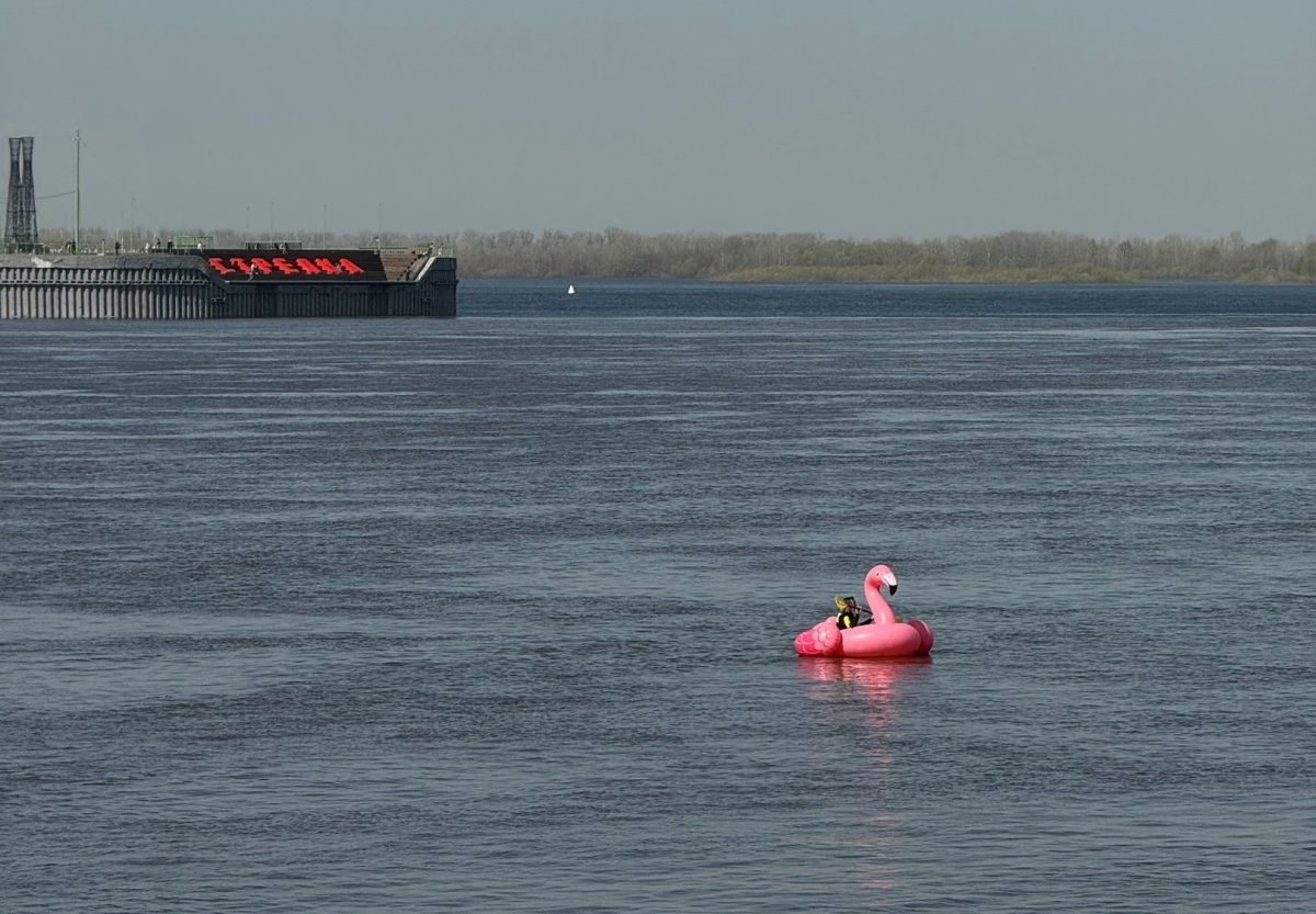 МЧС «перевоспитывает» нижегородскую блогершу после заплыва на фламинго