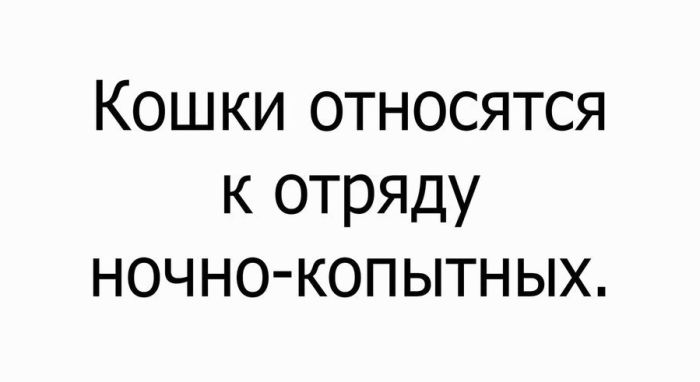 Подборка картинок. Вечерний выпуск (50 фото)