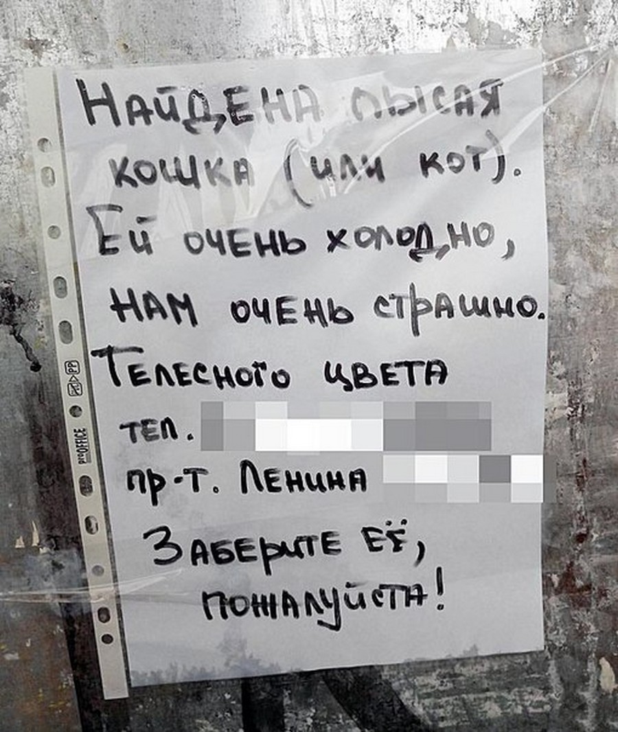 Короткое объявление