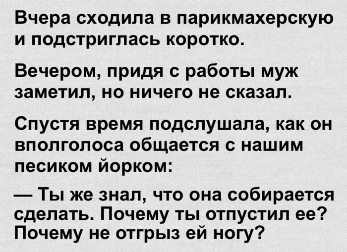 15 уморительных историй от пользователей интернета 15 уморительных историй от пользователей интернета