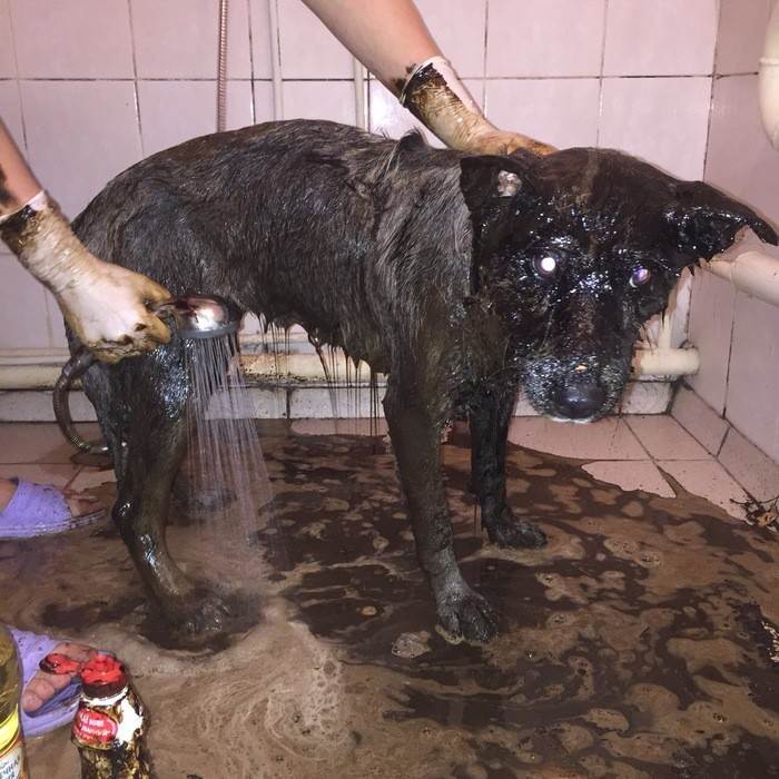 Неожиданно