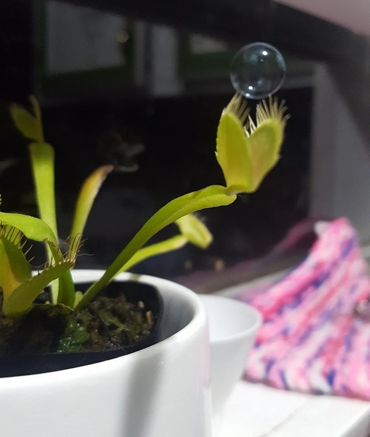 Редкие фотографии, которые точно пополнят ваш багаж знаний Редкие фотографии, которые точно пополнят ваш багаж знаний интересное