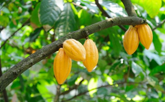 10 древних руин, которые подарили учёным захватывающие открытия 10 древних руин, которые подарили учёным захватывающие открытия