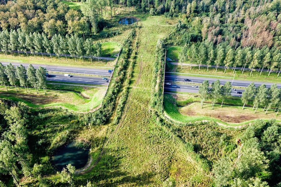 Сказочно красивые мосты из реальной жизни архитектура