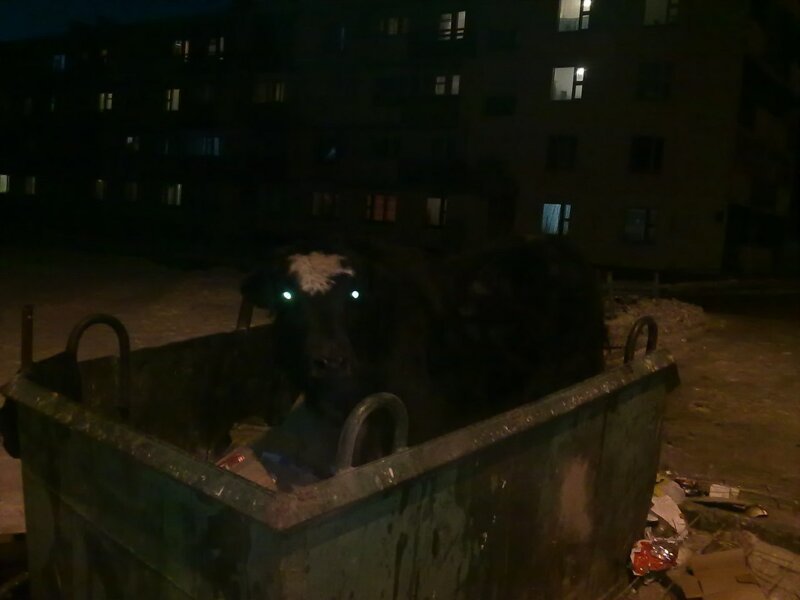 Фотозарисовки жизни в Монголии Фотозарисовки жизни в Монголии