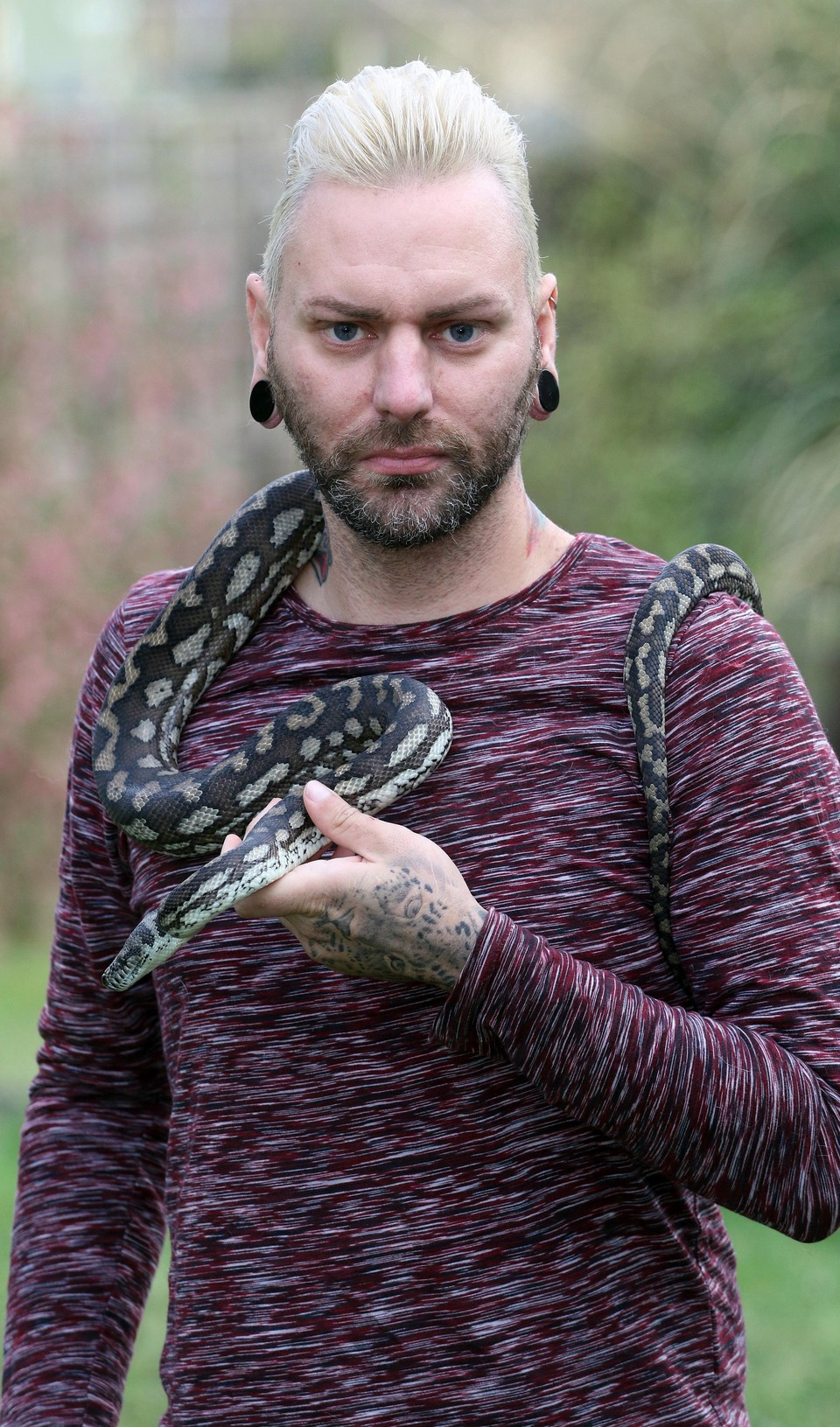 У любителя зверушек изъяли 113 экзотических домашних животных после ссоры с женихом У любителя зверушек изъяли 113 экзотических домашних животных после ссоры с женихом животные