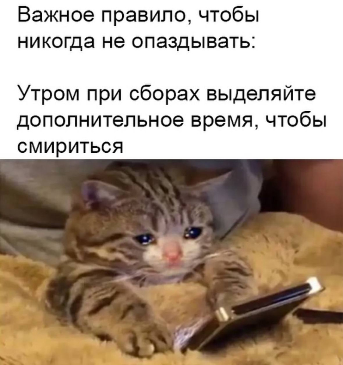 Третий лишний… когда второй контрольный 