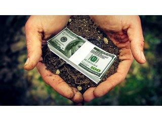 Рецепты Всемирного банка для Украины: приватизация, продажа земли и пилюля верховенства права