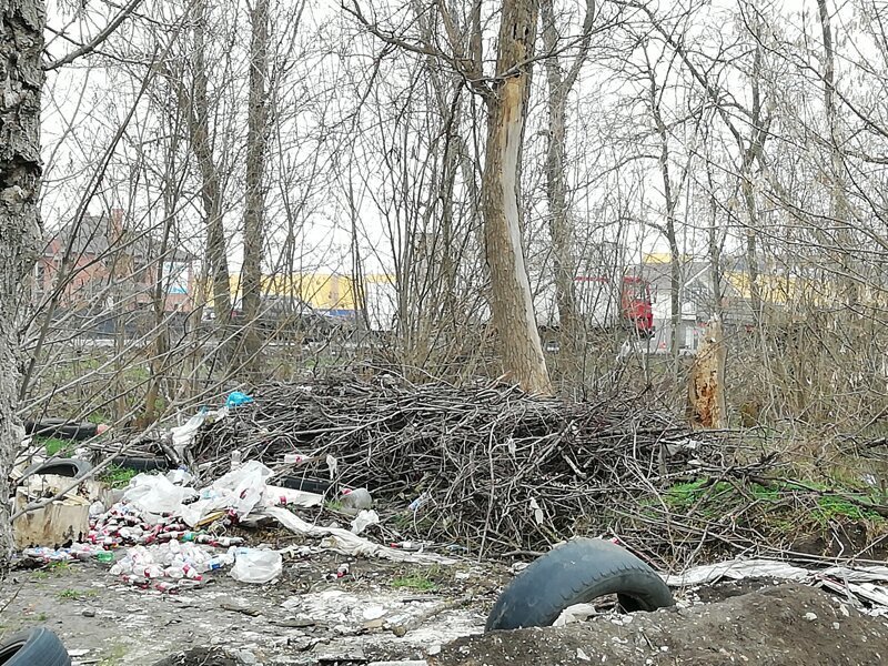 Про мусорный коллапс в Краснодаре Про мусорный коллапс в Краснодаре