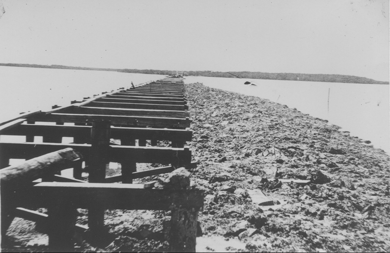 Морская железная дорога Морская железная дорога интересное,история,морская железная дорога,США,технологии