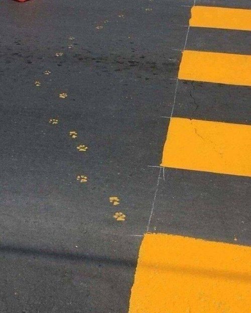 Новые прикольные картинки и фото Новые прикольные картинки и фото