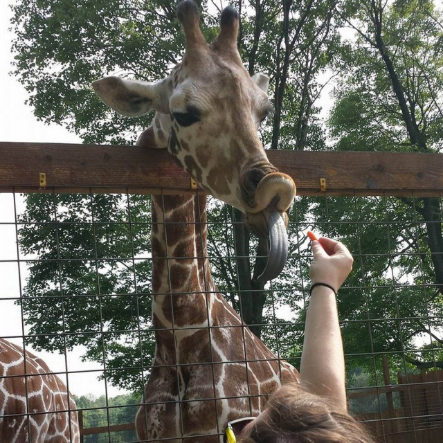 Прикольные картинки для настроения: «Бьюти-советы для мужиков…» 