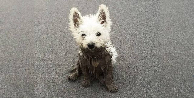 Смешные картинки в ассортименте