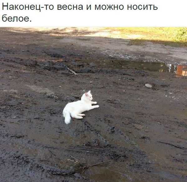Приколы 2018 (77 фото) Приколы 2018 (77 фото)
