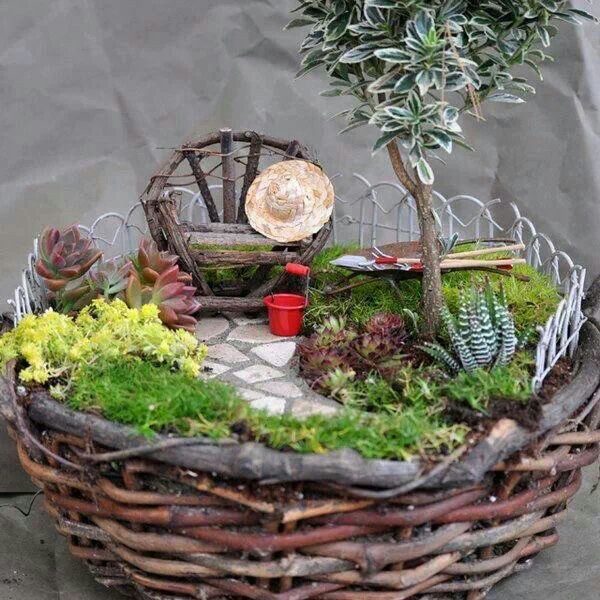 Картинки по запросу decoracion con suculentas