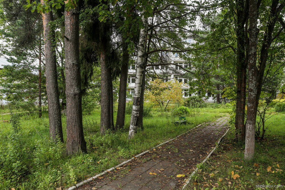 Санаторий Ивана Сусанина стоит брошенный в Костромском лесу заброшенные здания,отдых,путешествия,Россия,санаторий