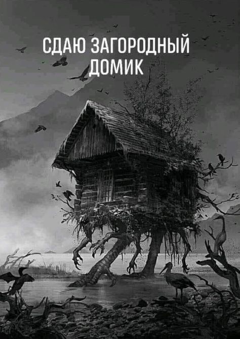 Яркие шутки и анекдоты для теплого настроения 