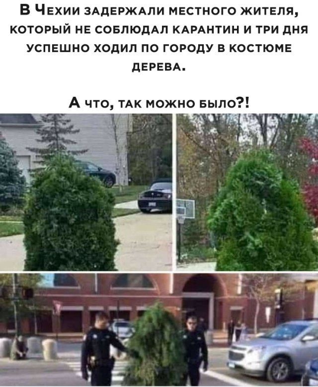 Смешные фото вечер 30 марта 2020