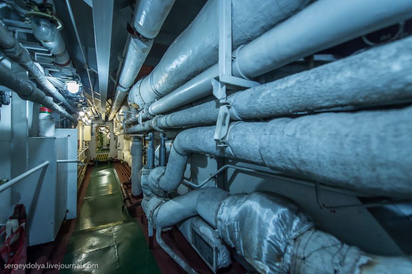 ледокол, кухня, каюта, экскурсия