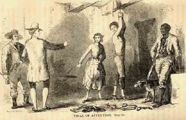 Почему белые рабы стоили в 10 раз дешевле черных история,рабсто,США