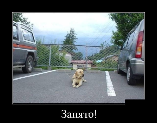 Демотиваторы - Улыбайтесь, господа, улыбайтесь! Демотиваторы - Улыбайтесь, господа, улыбайтесь!